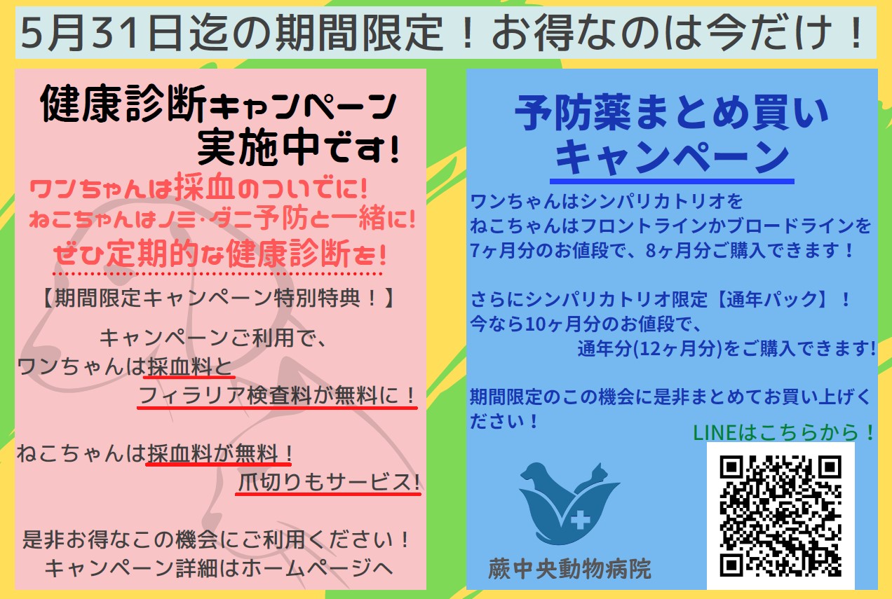 2022春の予防キャンペーンのお知らせ | 蕨中央動物病院