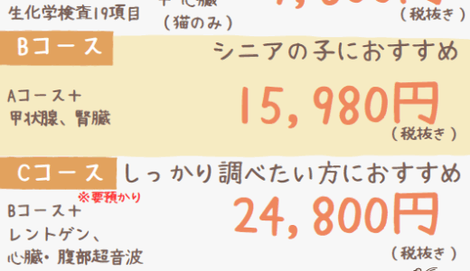 秋の健康診断のお知らせ（9/16～）