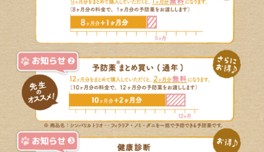 春の健康診断と予防シーズンのお知らせ