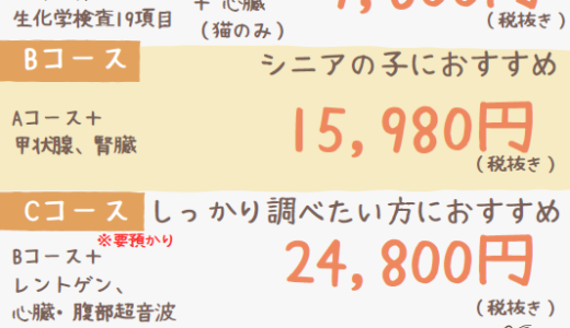 秋の健康診断のお知らせ（9/16～）